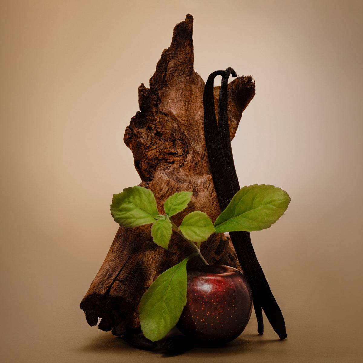 Vanilla Canyon - Travel Size - image 3