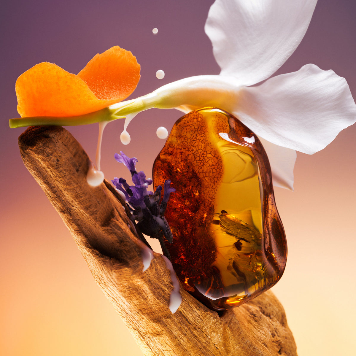 Afterglow - Fragrance Duet - image 3