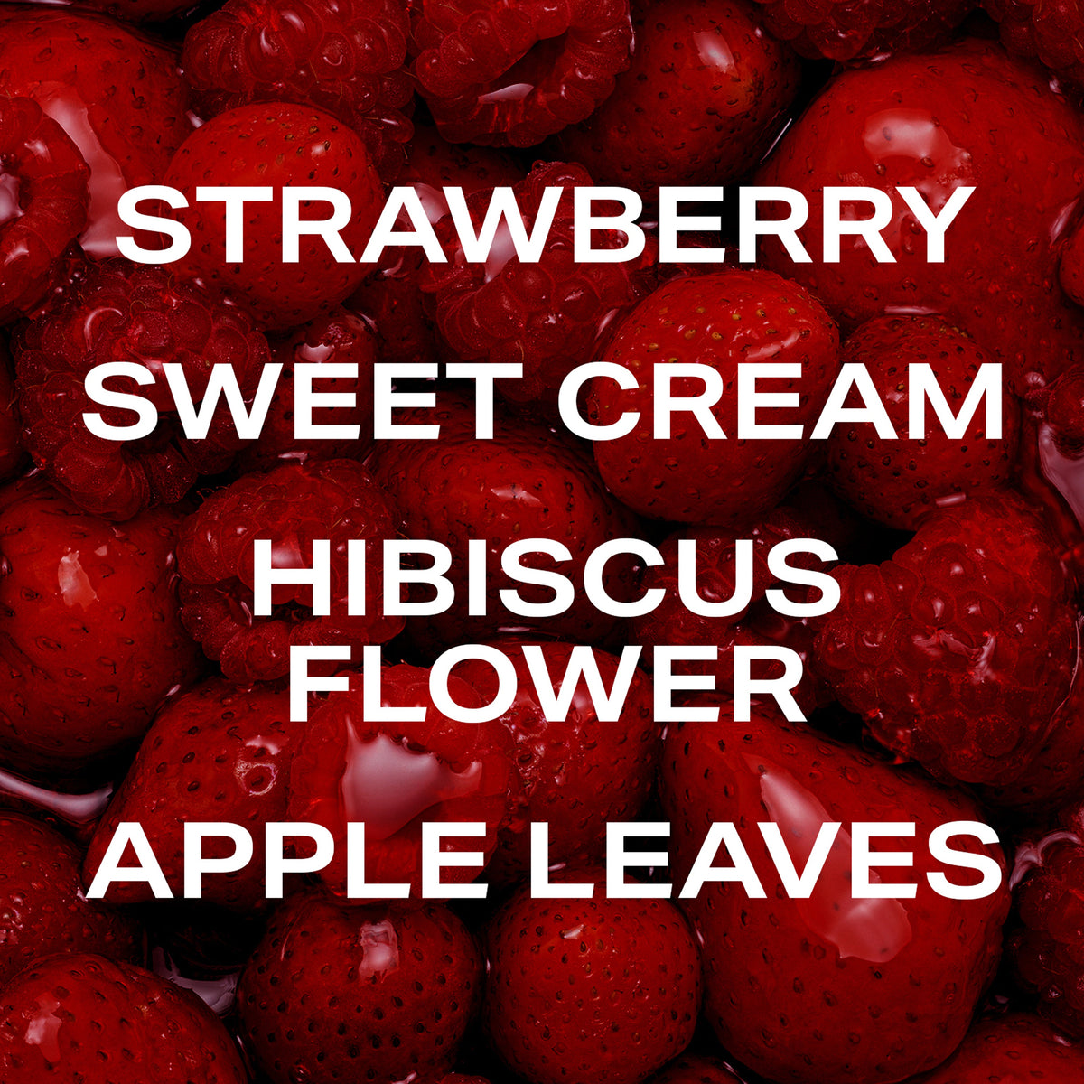 Berry Cream - Body Mist - image 3