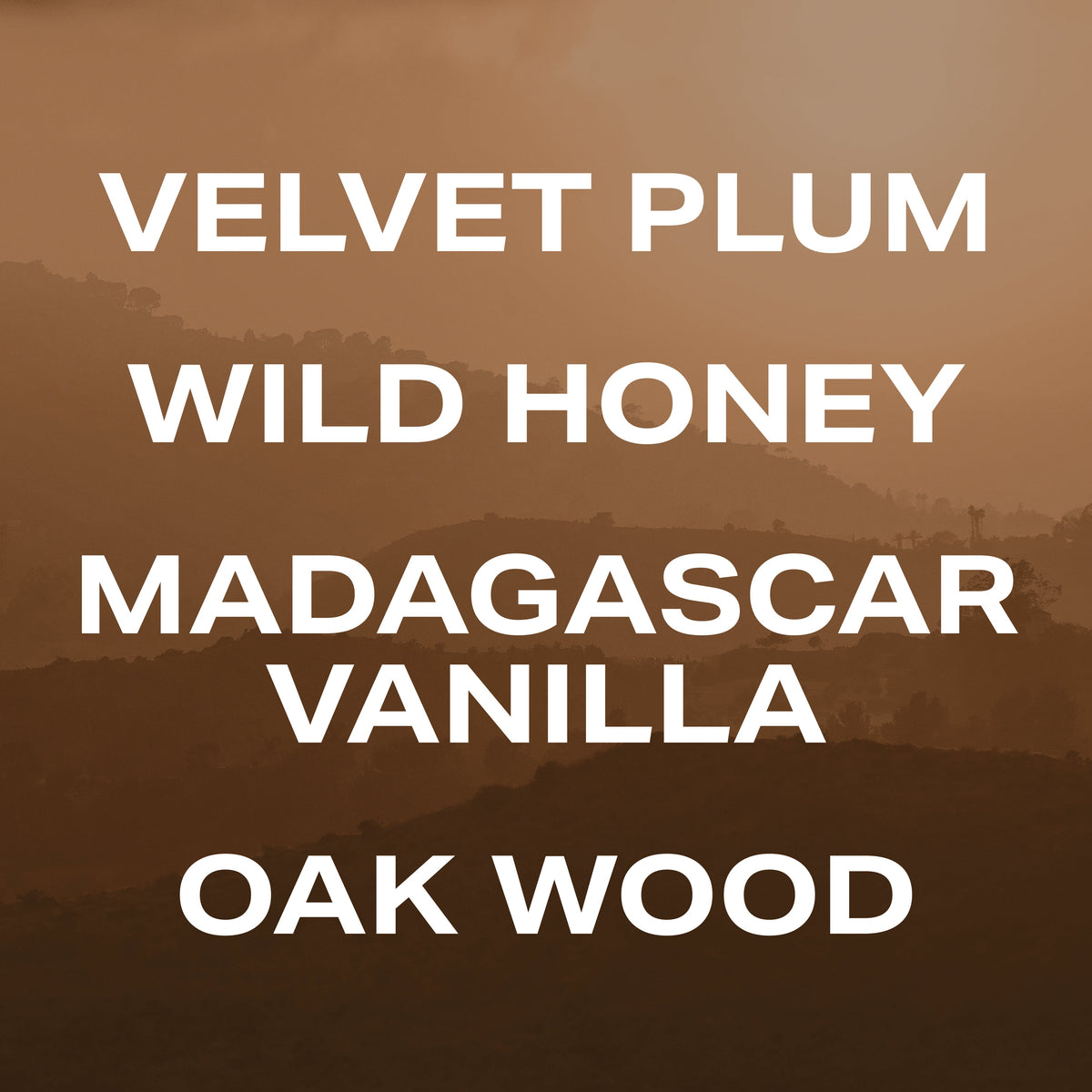 Vanilla Canyon - 50mL - image 4